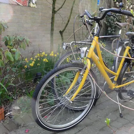 Bed & Breakfast Aan Het Park *