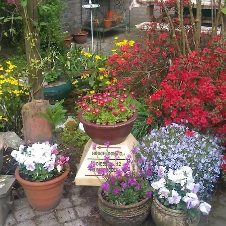 住宿加早餐酒店 埃因霍温公园住宿加早餐旅馆 埃因霍温