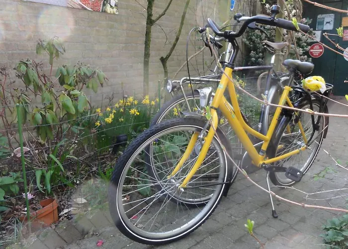 Bed & Breakfast Aan Het Park 3*