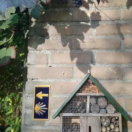 Bed & Breakfast Aan Het Park 3*