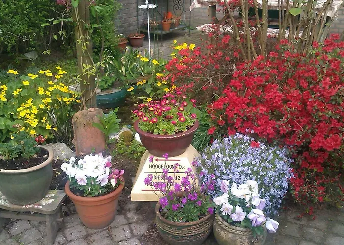 Bed & Breakfast Aan Het Park Eindhoven