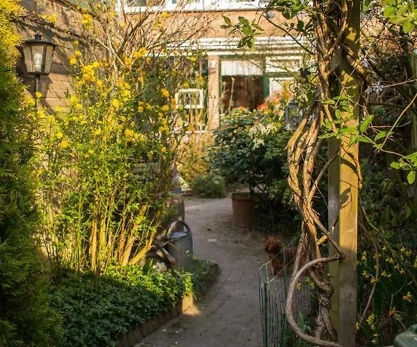 Bed & Breakfast Aan Het Park 3*